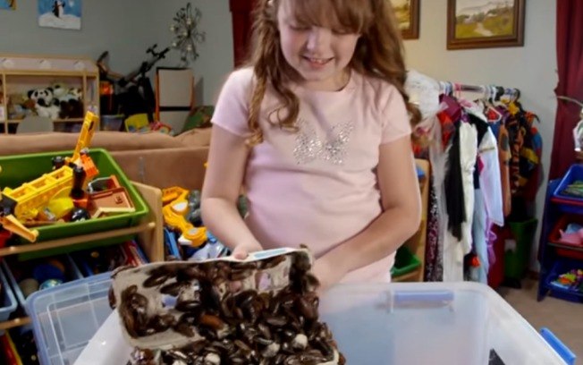 Vidéo-insolite: Une fillette collectionne des cafards