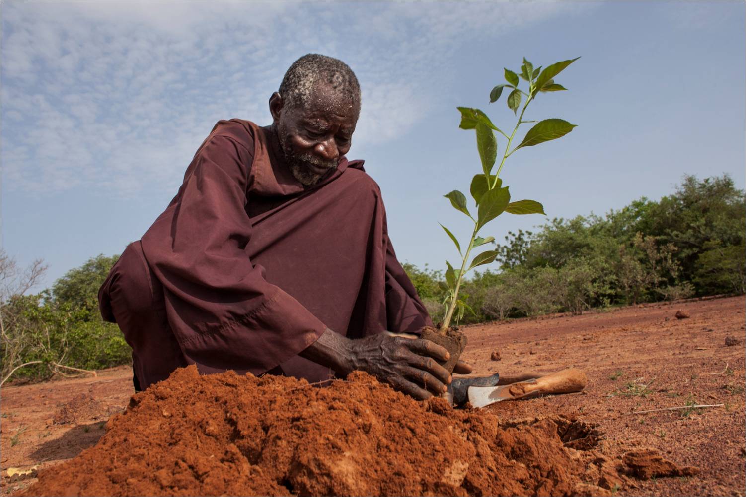 Yacouba Sawadogo l&rsquo;homme qui a vaincu le désert au Burkina