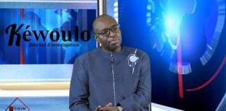 Mamadou Abdoulaye DEME, Ancien député de la Diaspora