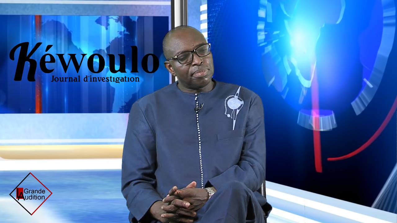 Mamadou Abdoulaye DEME, Ancien député de la Diaspora