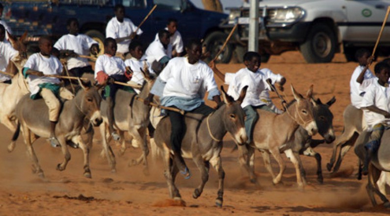 Société: A Thiès, c&rsquo;est la course des ânes qui font courir les foules