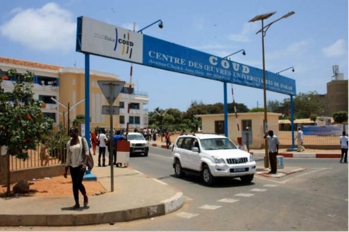 Université Cheikh Anta Diop De Dakar : Les étudiants En Master