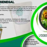 IMG-20190115-WA0044 (3)