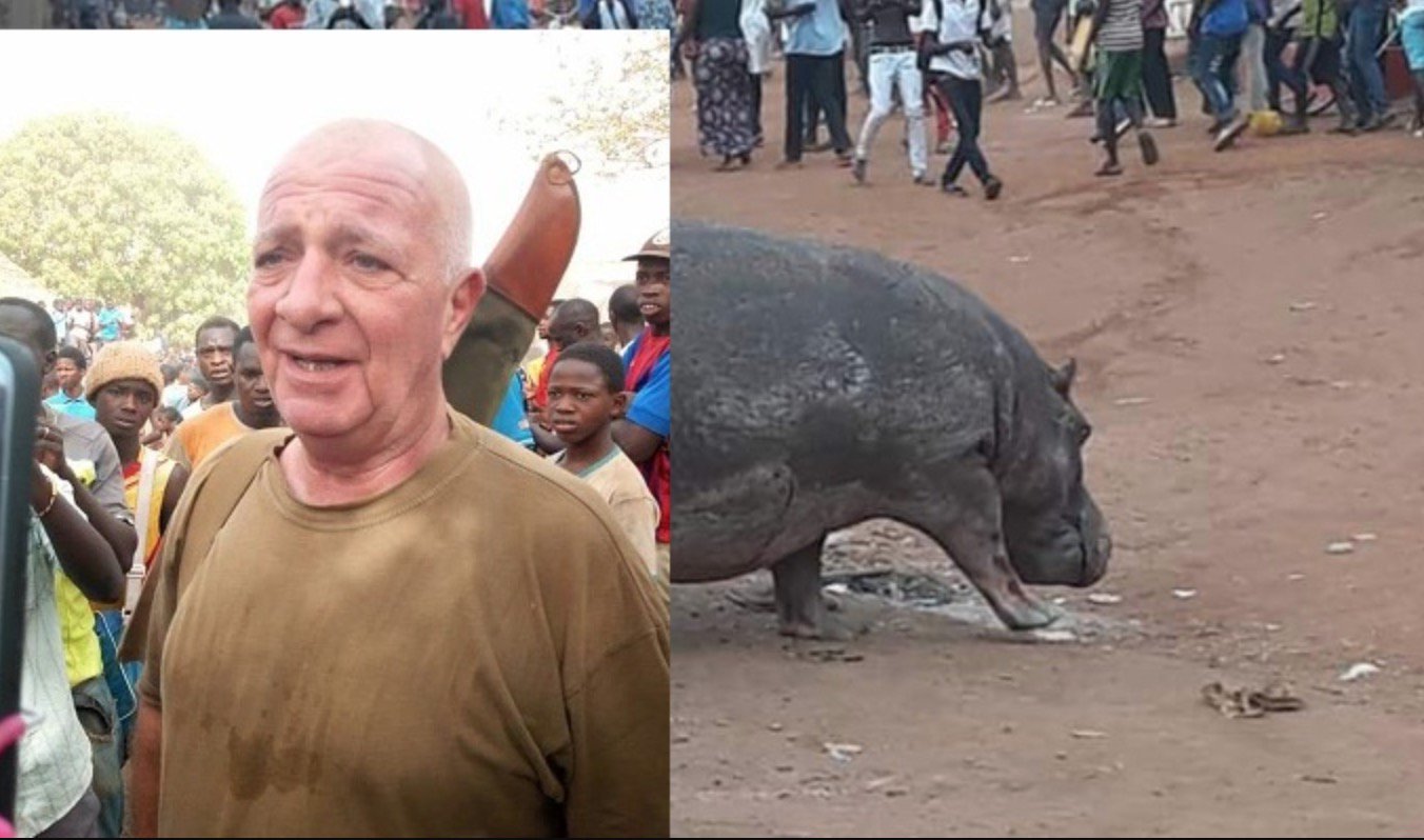 Kédougou: L&rsquo;hippopotame tué était déjà blessé par balles
