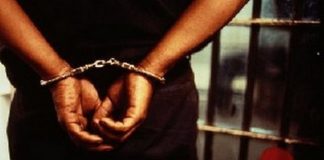 Détention et usage de drogue : Le petit frère du promoteur de lutte Aziz Ndiaye et son ami en prison