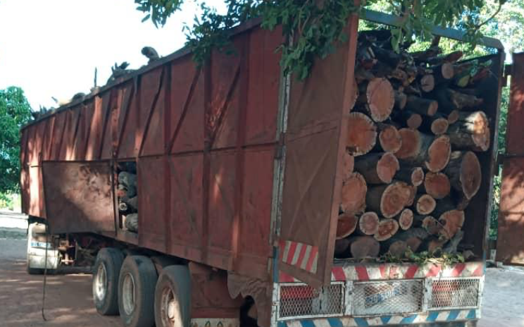 Trafic de bois : Un camion transportant du bois et un minibus chargé de 85 sacs de charbons, saisis par l’armée à Kabakel