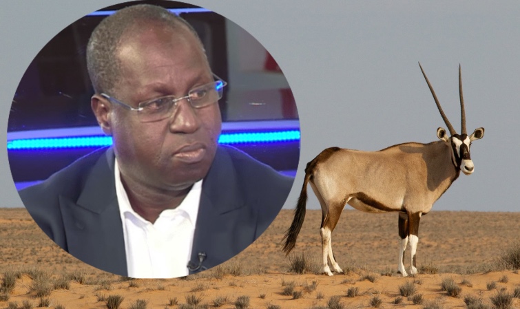 Discours à la Nation :Le ministre de l&rsquo;environnement Abdou Karim Sall félicite Macky Sall