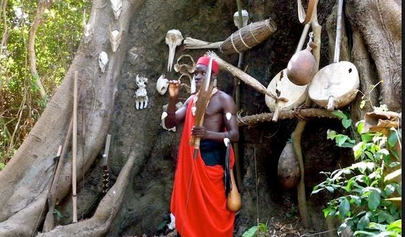 Urgent: La vente du bois sacré de Mangouroto promet de raviver les flammes de la révolte des femmes de Ziguinchor