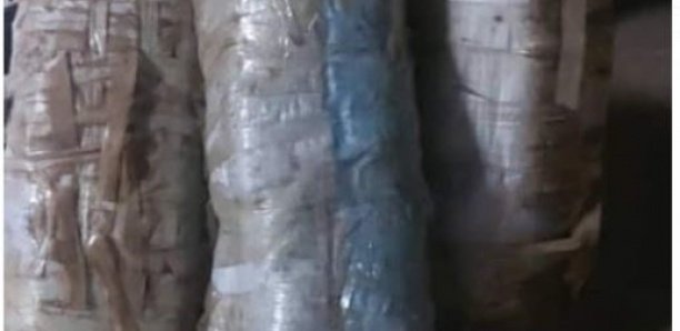 Trafic de chanvre indien : La Gendarmerie de Joal déniche 72 kilos de « Yamba »