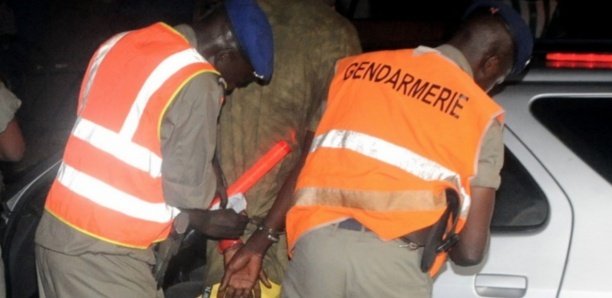 Casamance: Un célèbre rappeur arrêté à Bignona pour recel et vol de bétail
