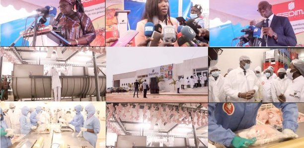 Visite à la SEDIMA:  Les ministres de l’Élevage et du commerce reconnaissent le leadership de la société « Ce n&rsquo;est pas facile d&rsquo;être un champion national »