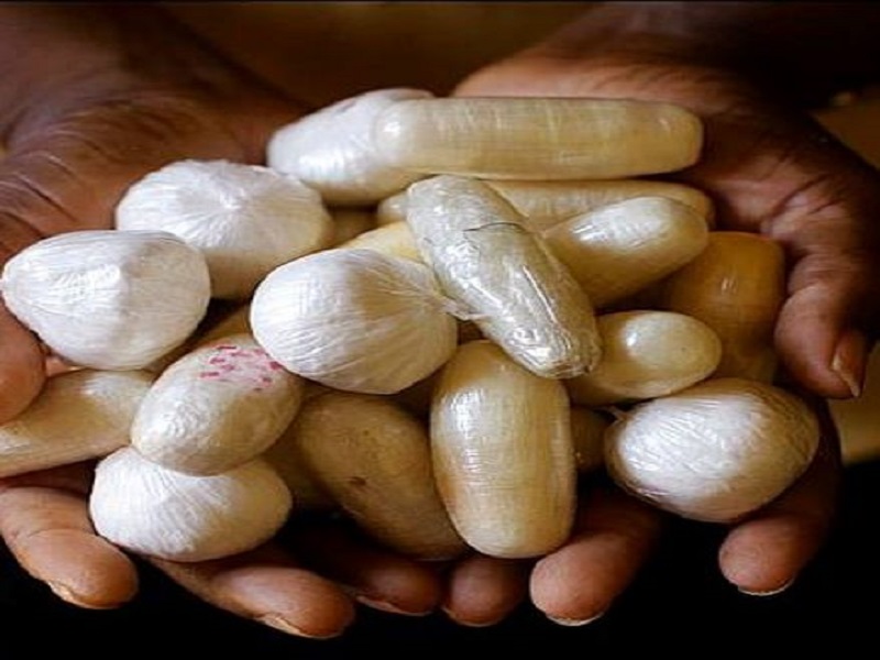 Ouakam : Un réseau de trafiquant de drogue démantelé avec 21 cailloux de crack et 6 sachets de cocaïne