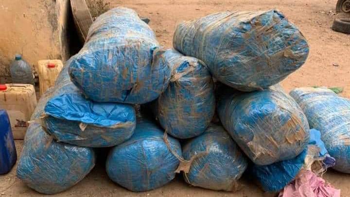 Diouloulou : 237 kilogrammes de chanvre saisis et deux trafiquants arrêtés par la gendarmerie