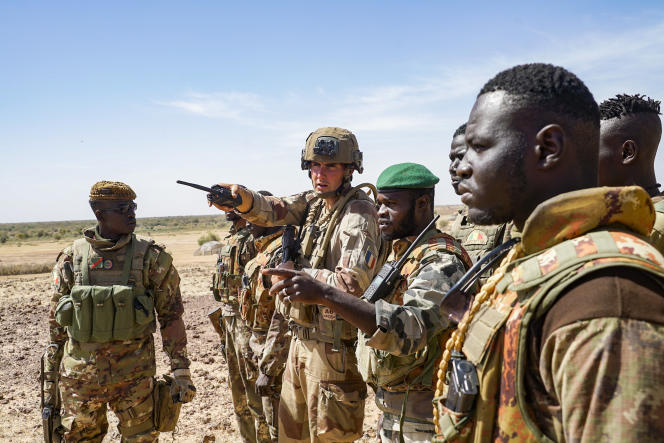 Mali: un soldat nigérien tué et deux français blessés dans la zone des «trois frontières»