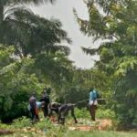 WhatsApp-Image-2021-08-09-at-11.36.46-1