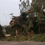 4accc0351b0c54bba7d19c7df366b918fb6d3fc8