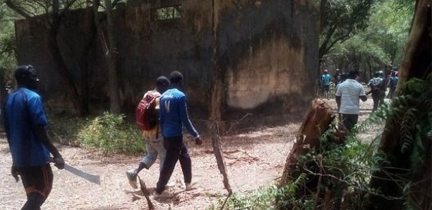 Nyassia : Après 30 d’exil dû au conflit casamançais, les populations de Mahmouda Boukombé sur le retour