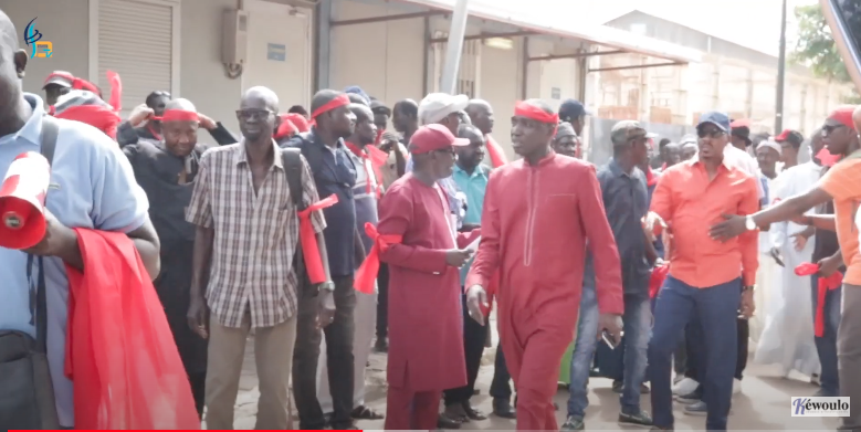 Transport de noix de cajou à Ziguinchor  : Opérateurs et transporteurs crient leur « ras-le-bol »