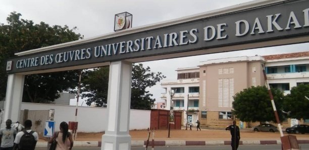 Enseignement supérieur : les trois priorités du nouveau secrétaire général du SAES