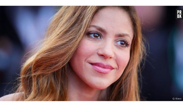Espagne : Une amende de plus de 23 millions d’euros et 8 ans de prison pour Shakira