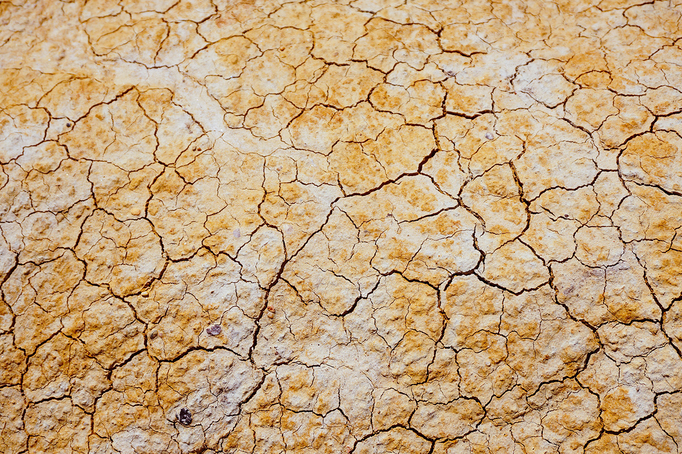 Environnement: Le réchauffement climatique s’accélère : 2,8°C d’ici la fin du siècle !