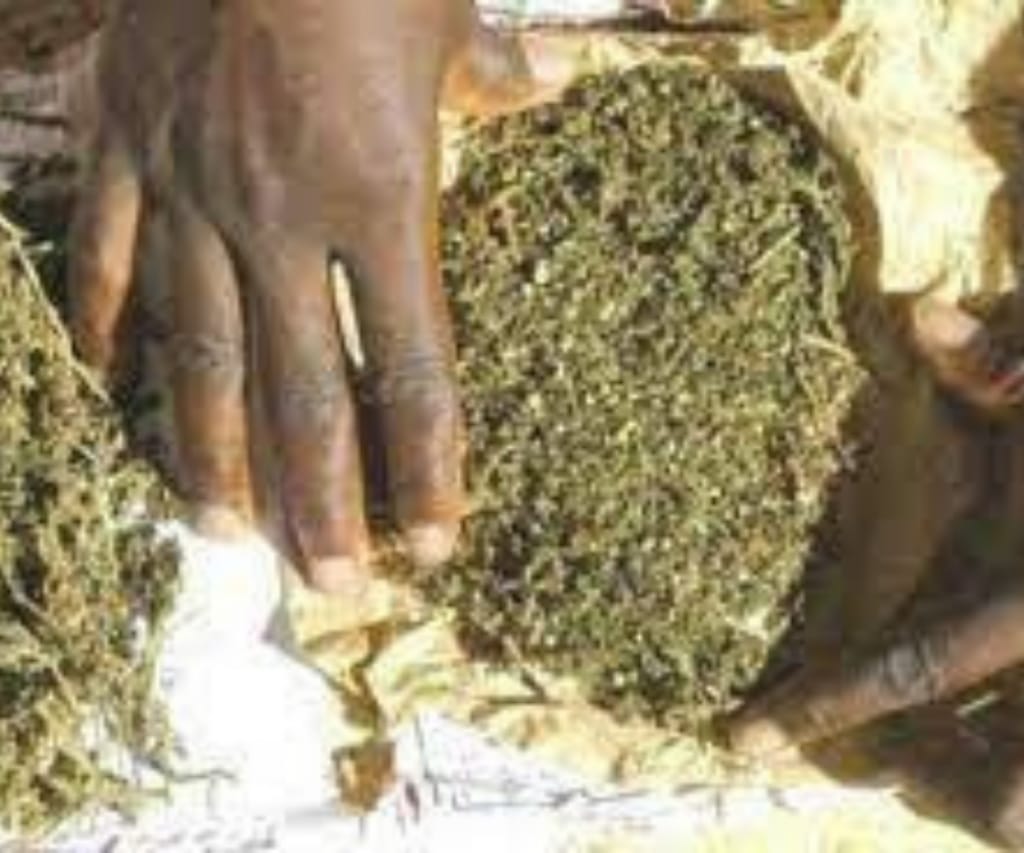 Arrêtée avec deux sachets de drogue: La trafiquante écope de deux ans de prison ferme