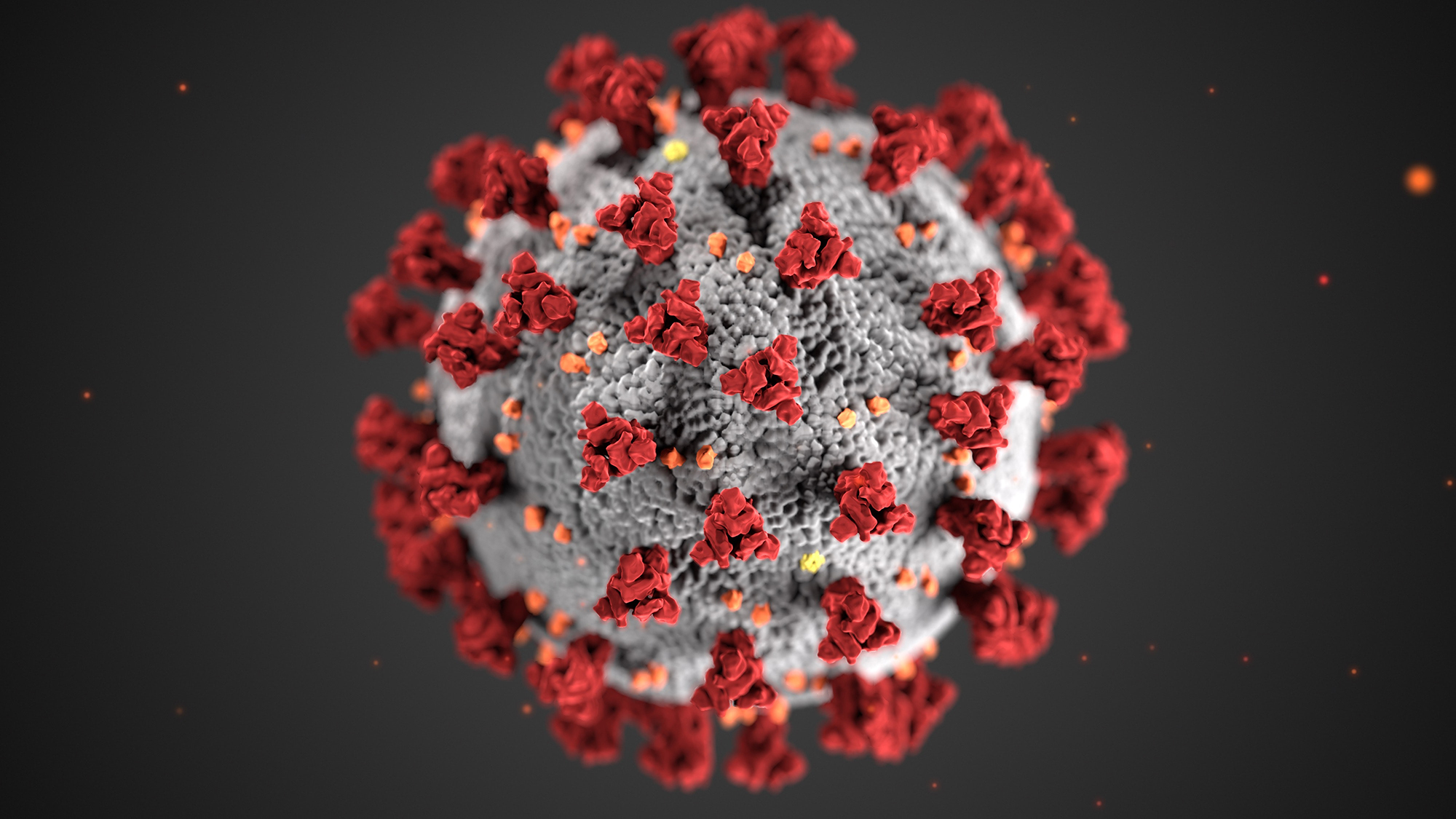 Coronavirus: un nouveau virus créé en laboratoire sème l’émoi