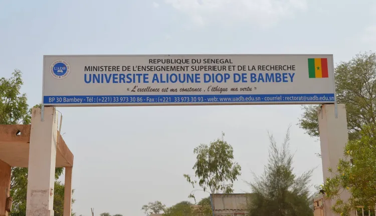 Université Alioune Diop de Bambey : Le Saes annonce un débrayage le 31 janvier prochain