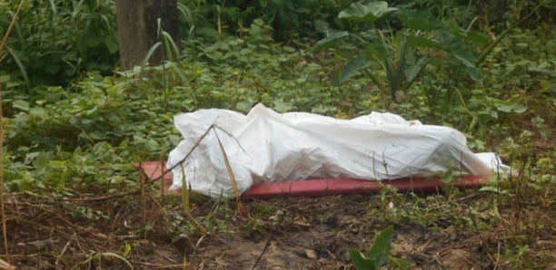 Vélingara : un corps sans vie retrouvé dans les eaux du Kayanga