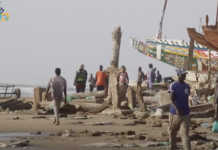 Sénégal : Les populations de la Casamance s’opposent au projet de la SAPCO