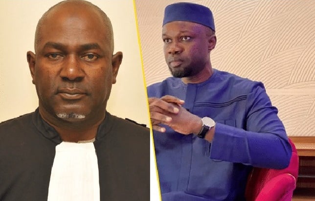 Présidentielle : Me Aly Kane clôt le débat, Ousmane Sonko encore éligible après sa condamnation…
