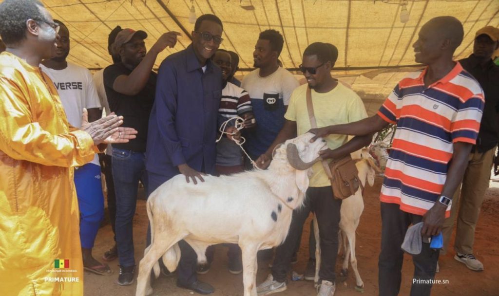 Tabaski 2023: Le ministre de l’Elevage, Amadou Ba et les éleveurs ont eu un échange fructueux…(Photos)