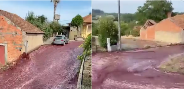 Extraordinaire: Un torrent de vin rouge inonde un village au Portugal