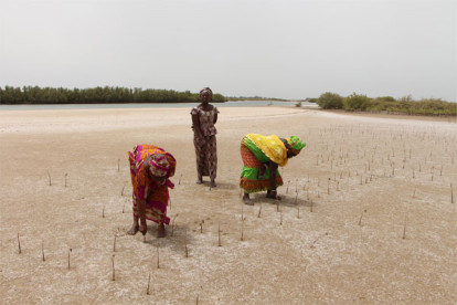 Lutte contre les changements climatiques : Mise en place d’un budget vert d’une centaine de milliards