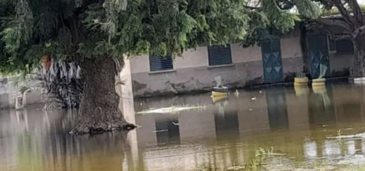 Rentrée scolaire à Kaolack : Une vingtaine d&rsquo;écoles sous les eaux( IEF).