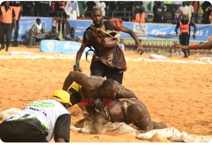 People : Projection sur Diaz, l’homme qui a interrompu le combat royal Modou Lo-Ama Baldé ?