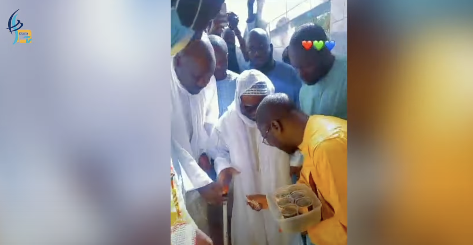 Affaire des lionceaux á Touba : Les explications de Abdou Lakhat Seck Sadaga, propriétaire du zoo