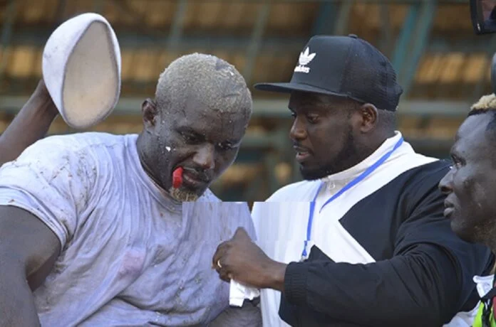 Prochain combat : Le « Lion de Guédiawaye » Balla Gaye 2 décroche du lourd…