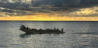 Tentative de migration clandestine déjouée : 244 migrants interceptés en mer