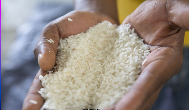 Hausse du prix du riz: le Chef du service régional du Commerce de Dakar apporte des précisions…