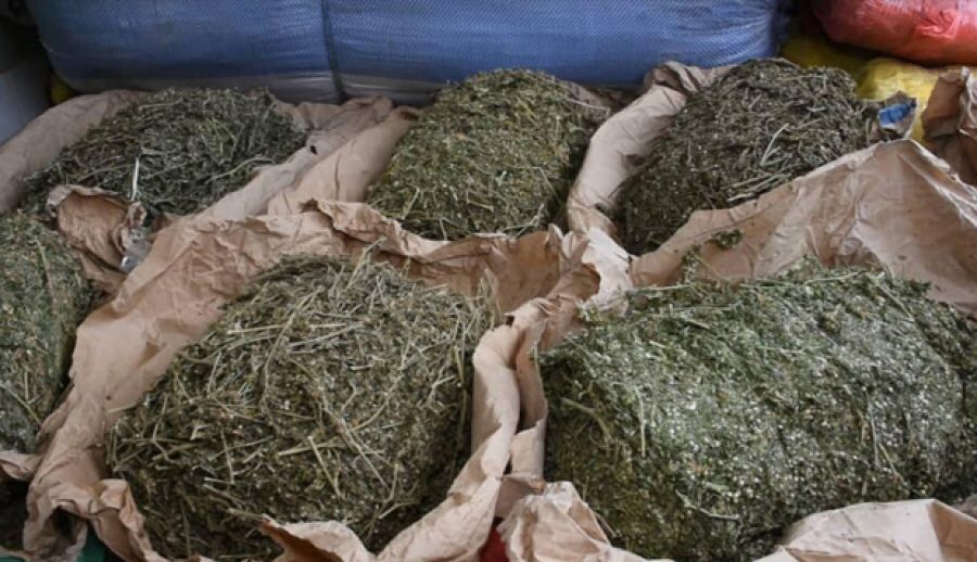 Un véhicule contenant de drogue intercepté par la gendarmerie de Thiaroye