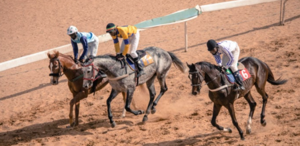 Grand Prix renaissance africaine: Près de 150 chevaux de divers pays attendus à Thiès ce week-end