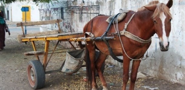 Un entrepreneur en bâtiment victime vol