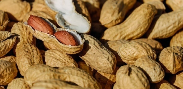 Campagne agricole : Le secteur ne carburent pas due  au fait que les opérateurs n’ont pas…