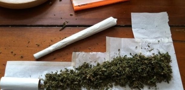 Extraordinaire: Un « juin » de yamba aux Assises !