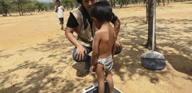Selon l&rsquo;Unicef un nombre « choquant » d&rsquo;enfants « survivent avec un régime alimentaire très pauvre