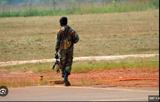 Bénin:Sept soldats tués dans un parc national …