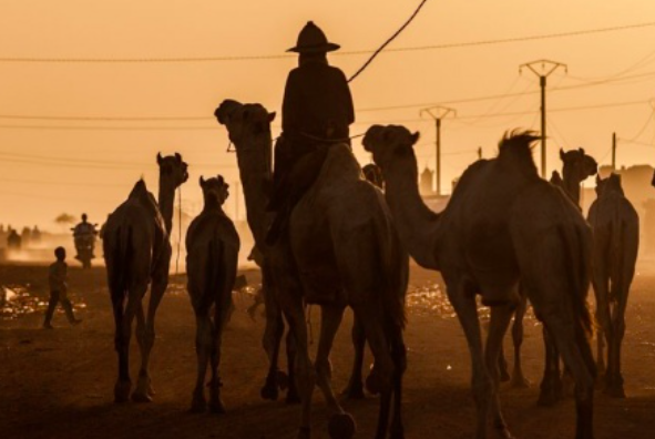 Diourbel : Un garçon de 15ans kidnappé par cinq bergers, dont quatre Mauritaniens et …