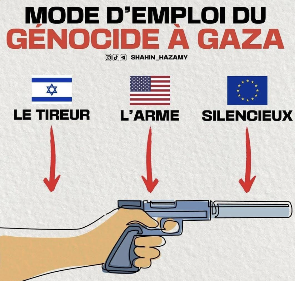 Conflit israélo-palestinien : Israël perd déjà la guerre qui a duré un an. ( Par El hadj Cheikh Oumar Tall)