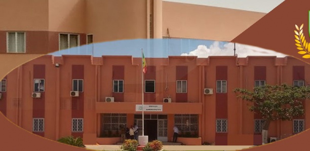 Mairie de Pikine : Le calvaire des populations pour trouver des…